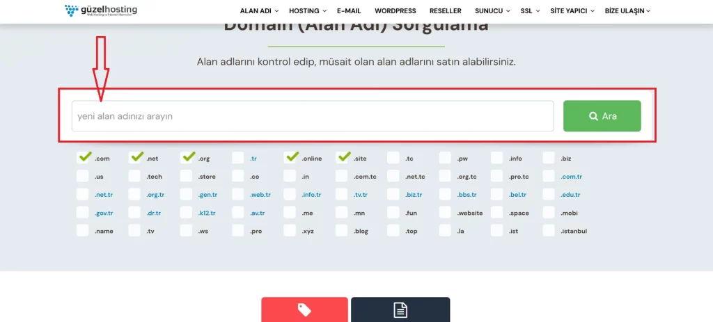 Alan adı sorgulama
