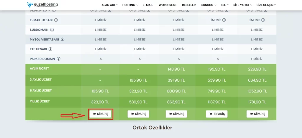 Hosting paketi satın alma
